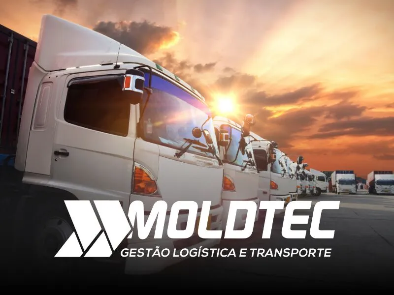Logistica promocional santa catarina - Moldtec Log