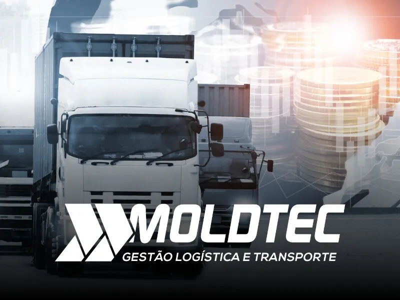 Transportadora parana desempenho logistico - Moldtec Log