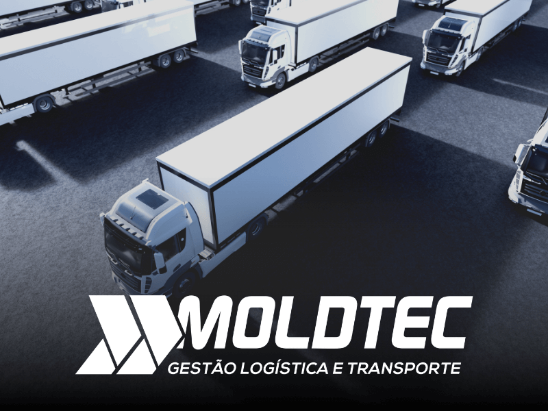 Transportadora sudeste guia completo - Moldtec Log