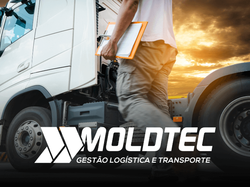 Empresa de logística: como escolher o parceiro certo e evitar dor de cabeça nas entregas